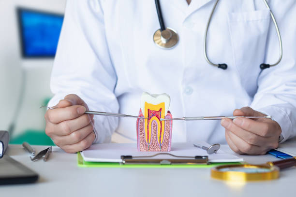 Urgent Tooth Repair in NJ